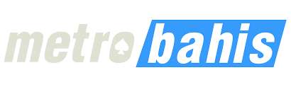 Bağımsız Erişim Rehberi logosu